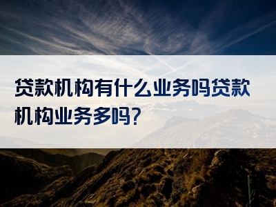 贷款机构有什么业务吗贷款机构业务多吗？