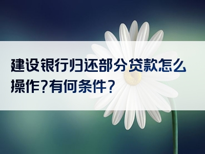 建设银行归还部分贷款怎么操作？有何条件？