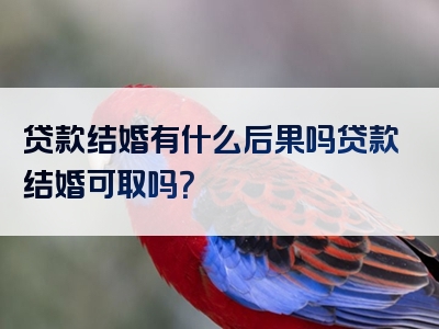 贷款结婚有什么后果吗贷款结婚可取吗？