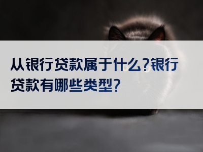 从银行贷款属于什么？银行贷款有哪些类型？