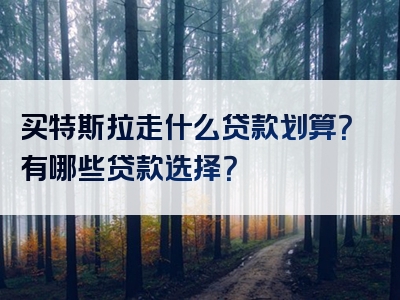 买特斯拉走什么贷款划算？有哪些贷款选择？