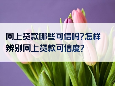 网上贷款哪些可信吗？怎样辨别网上贷款可信度？