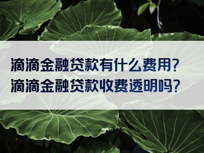 滴滴金融贷款有什么费用？滴滴金融贷款收费透明吗？