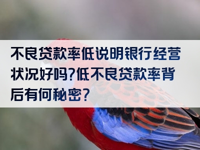 不良贷款率低说明银行经营状况好吗？低不良贷款率背后有何秘密？