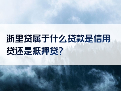 浙里贷属于什么贷款是信用贷还是抵押贷？