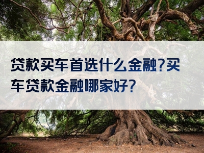 贷款买车首选什么金融？买车贷款金融哪家好？