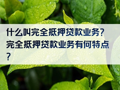 什么叫完全抵押贷款业务？完全抵押贷款业务有何特点？