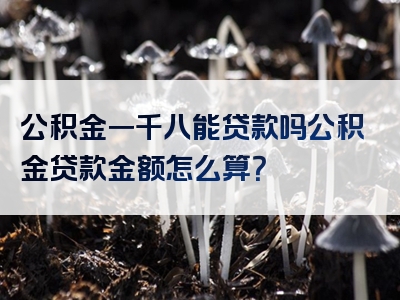 公积金一千八能贷款吗公积金贷款金额怎么算？