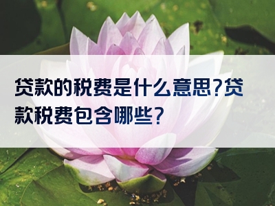 贷款的税费是什么意思？贷款税费包含哪些？