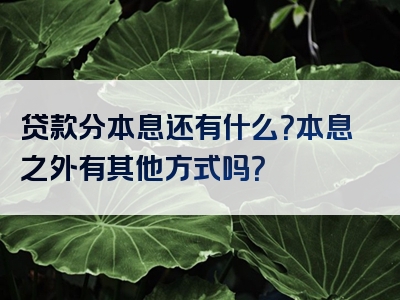 贷款分本息还有什么？本息之外有其他方式吗？