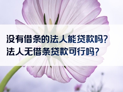 没有借条的法人能贷款吗？法人无借条贷款可行吗？