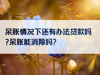 呆账情况下还有办法贷款吗？呆账能消除吗？