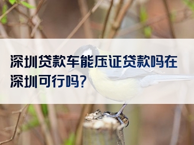 深圳贷款车能压证贷款吗在深圳可行吗？