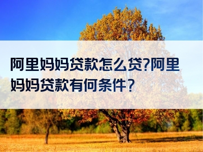 阿里妈妈贷款怎么贷？阿里妈妈贷款有何条件？