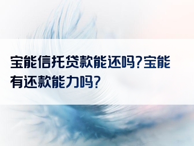 宝能信托贷款能还吗？宝能有还款能力吗？