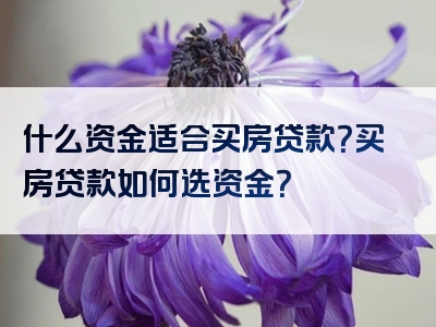 什么资金适合买房贷款？买房贷款如何选资金？