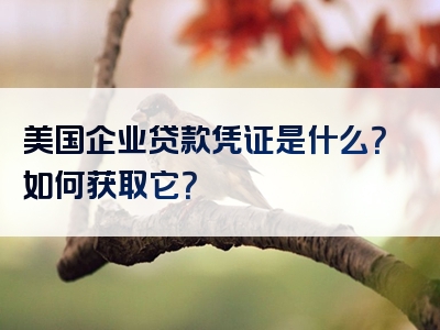 美国企业贷款凭证是什么？如何获取它？