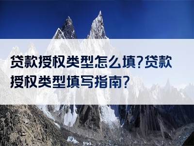 贷款授权类型怎么填？贷款授权类型填写指南？