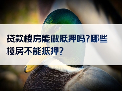 贷款楼房能做抵押吗？哪些楼房不能抵押？