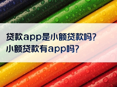 贷款app是小额贷款吗？小额贷款有app吗？