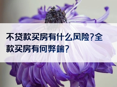 不贷款买房有什么风险？全款买房有何弊端？