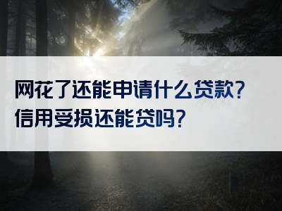 网花了还能申请什么贷款？信用受损还能贷吗？