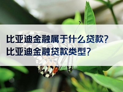 比亚迪金融属于什么贷款？比亚迪金融贷款类型？