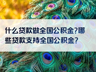 什么贷款做全国公积金？哪些贷款支持全国公积金？