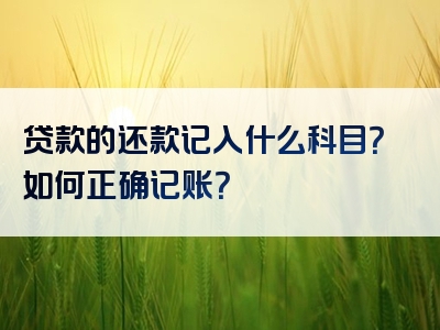 贷款的还款记入什么科目？如何正确记账？