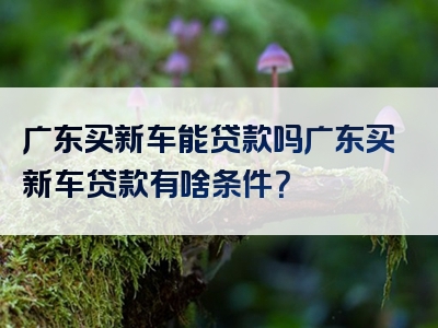 广东买新车能贷款吗广东买新车贷款有啥条件？