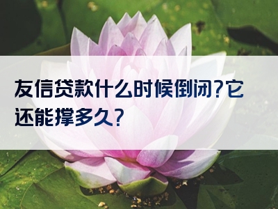 友信贷款什么时候倒闭？它还能撑多久？