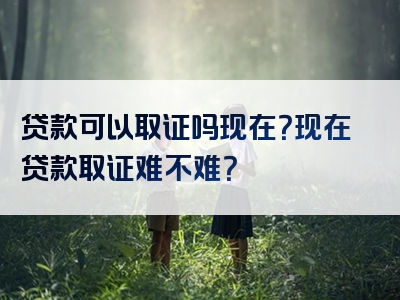 贷款可以取证吗现在？现在贷款取证难不难？