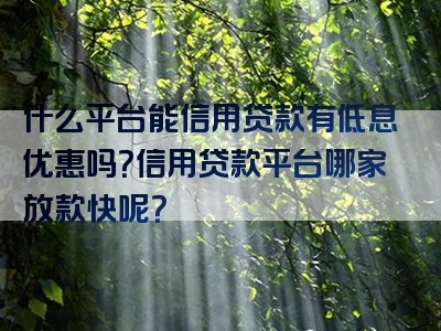 什么平台能信用贷款有低息优惠吗？信用贷款平台哪家放款快呢？