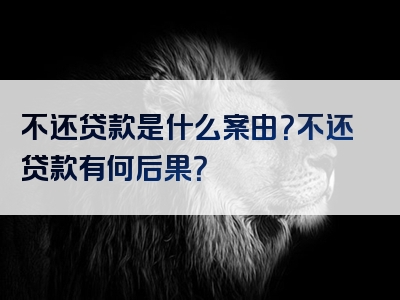 不还贷款是什么案由？不还贷款有何后果？