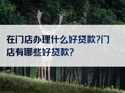 在门店办理什么好贷款？门店有哪些好贷款？