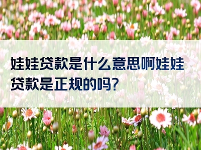 娃娃贷款是什么意思啊娃娃贷款是正规的吗？