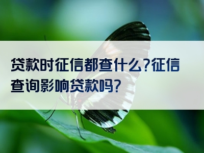 贷款时征信都查什么？征信查询影响贷款吗？