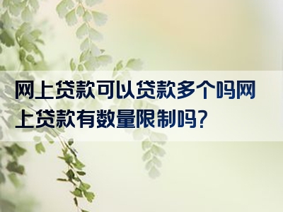 网上贷款可以贷款多个吗网上贷款有数量限制吗？