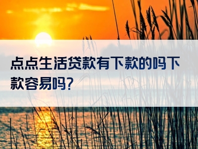 点点生活贷款有下款的吗下款容易吗？