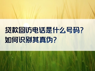 贷款回访电话是什么号码？如何识别其真伪？