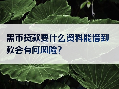 黑市贷款要什么资料能借到款会有何风险？