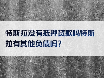 特斯拉没有抵押贷款吗特斯拉有其他负债吗？