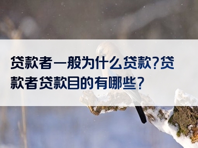 贷款者一般为什么贷款？贷款者贷款目的有哪些？