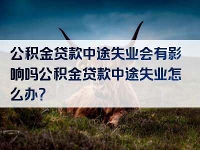 公积金贷款中途失业会有影响吗公积金贷款中途失业怎么办？