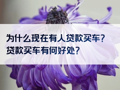 为什么现在有人贷款买车？贷款买车有何好处？