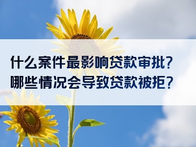 什么案件最影响贷款审批？哪些情况会导致贷款被拒？