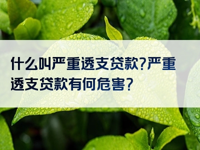 什么叫严重透支贷款？严重透支贷款有何危害？