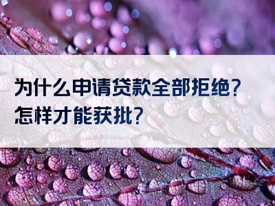 为什么申请贷款全部拒绝？怎样才能获批？