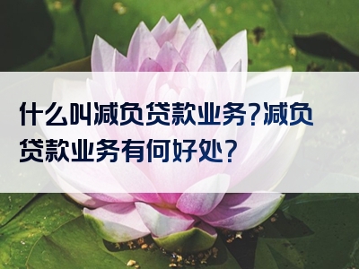 什么叫减负贷款业务？减负贷款业务有何好处？