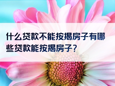 什么贷款不能按揭房子有哪些贷款能按揭房子？